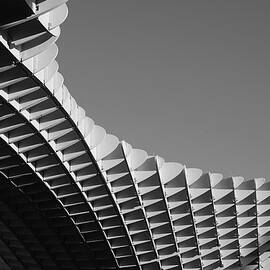 Las Setas de Sevilla - Study 2 by Richard Reeve