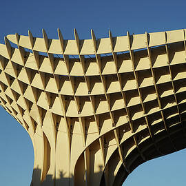 Las Setas de Sevilla - Study 5 by Richard Reeve