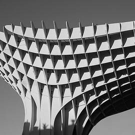 Las Setas de Sevilla - Study 6 by Richard Reeve