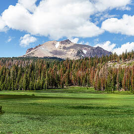 Lassen Peak and Green Meadow by Ed Clark