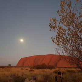 Last Light at Uluru Rock by Andre Petrov