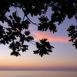 Last of the Leaves at Lake Michigan by Mary Lee Dereske