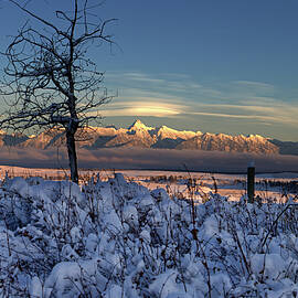 Last sun by Thomas Nay