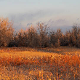 Late Autumn Meadow Sunrise by Cascade Colors