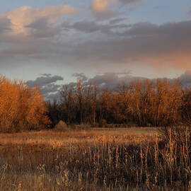 Late Autumn Woodland Sunrise by Cascade Colors