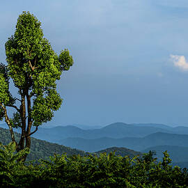 Late Light from Three Ridges by David Fountain
