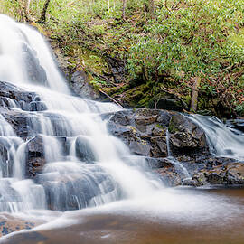 Laurel Falls by Stacy Abbott