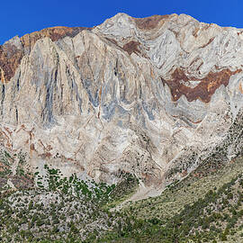 Laurel Mountain Close Up by Kelley King