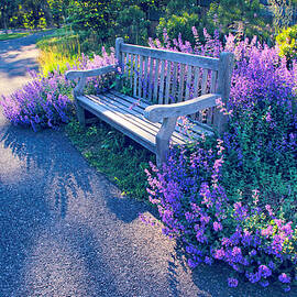 Lavender Delight by Jessica Jenney