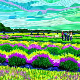 Lavender Fields of Washington Island by Rod Whyte