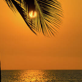 Lazy Days in Puerto Vallarta Mexico by Tommy Farnsworth