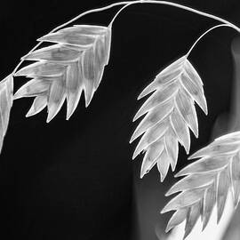 Leaves A Leaning by Dodie Ross