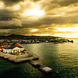Leaving Jamaica by David Fountain