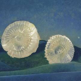 Les Coquilles - The Shells by Max Ernst by Max Ernst