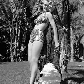 Leslie Brooks Bikini Leggy Barefoot Palm Tree Glamour by Silver Screen