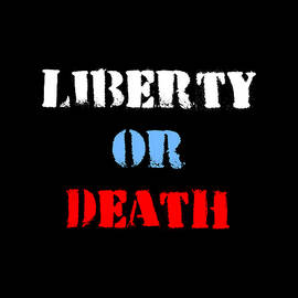 Liberty or Death by Flippin Sweet Gear