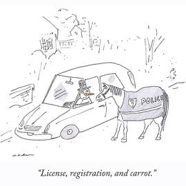 License and Registration by Michael Maslin