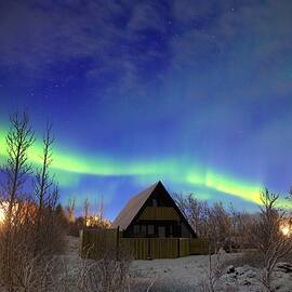 Life in a Christmas Card by Christopher Mathews