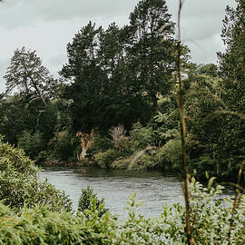 Life in New Zealand by Nova Rae