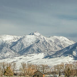 Life in the Shadow of the Absaroka Mountain Range, Montanabraso by Marcy Wielfaert