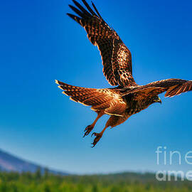 Lift-off by Bruce Block