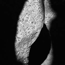 Light and Shadow by Mary Lee Dereske