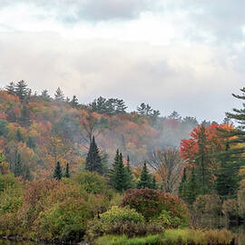 Light Fog on the Pond #2384 by Dan Beauvais