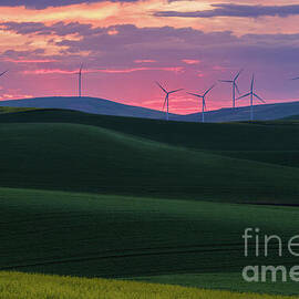 Light, Land and Wind by Dodie Ross