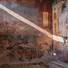 Light on Pompeii Past by Steven Sparks
