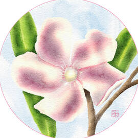 Light Pink Oleander in Bloom by Snow Iris Studio