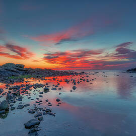 Light, Warmth, Love by Penny Polakoff