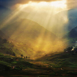 Light Will Find a Way by Dee Potter