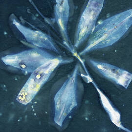 Lily Starburst Pattern by Elizabeth Reich