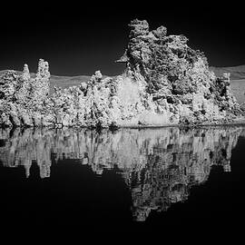 Limestone Love - Mono Lake - Inyo County California by Mike Lee