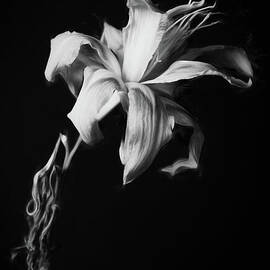 Lingering Grace by Dodie Ross