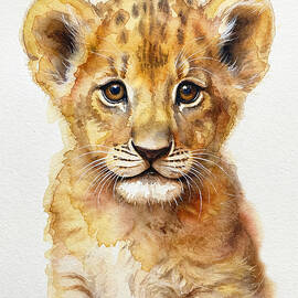 Lion cub by Land of Dreams