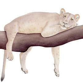 Lion Watercolor by Craphe Studio