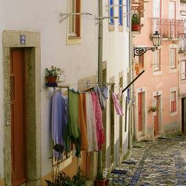 Lisbon's Colorful Urban Oasis by Travel Essayist