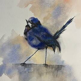 Little Ballerina a Fairy Wren by Judy Strickland