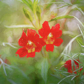 Little Red Flowers  by Alison Frank
