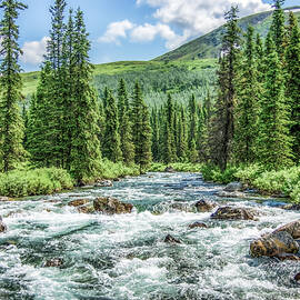 Little Susitna River - Alaska by DEE POTTER