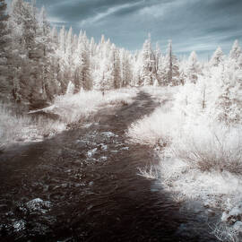 Little Truckee River Infrared Dreamscape - Sierra County CA by Mike Lee