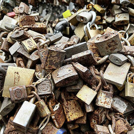 Locked In by Richard Reeve