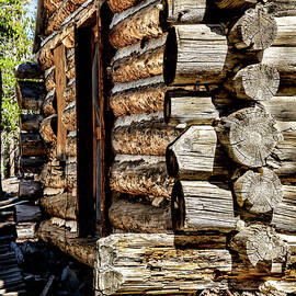 Log Cabin Craftsmanship by Kelley King