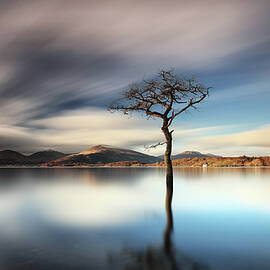 Lomond Reflection by Grant Glendinning