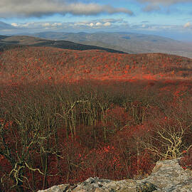 Looking at The Priest Wilderness from the North by Raymond Salani III