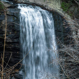 Looking Glass Falls 18 by Cindy Robinson