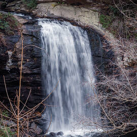 Looking Glass Falls 19 by Cindy Robinson