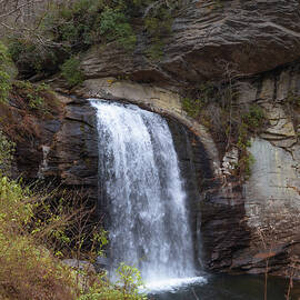 Looking Glass Falls 29 by Cindy Robinson