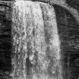 Looking Glass Falls 44 by Cindy Robinson